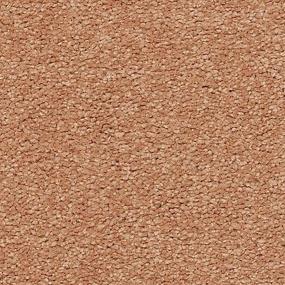 Nutmeg Frost Zoomed Swatch