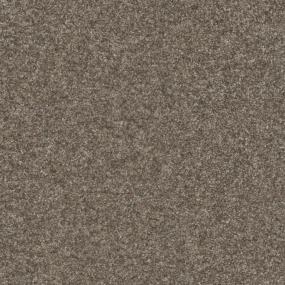 Cabin Retreat Zoomed Swatch