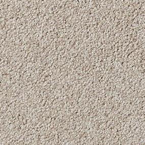 Salinas Valley II - Briarwood Swatch