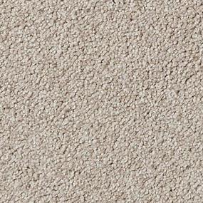 Briarwood Zoomed Swatch