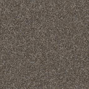 Wild Horses Zoomed Swatch