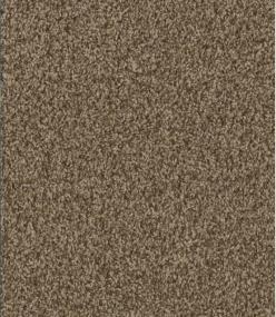 Cce 125 - Shimmer Swatch