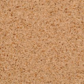 Innovations - Tempura            M Swatch