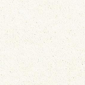 Maison Luxe - Oyster Swatch