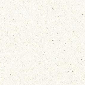 Oyster Zoomed Swatch
