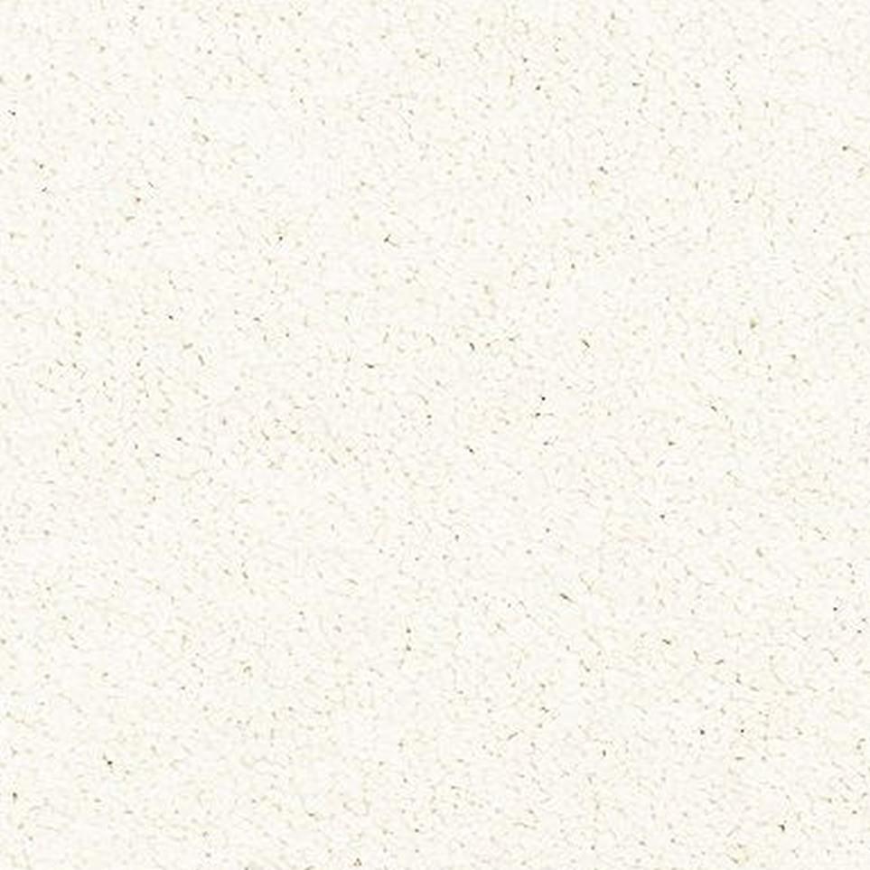 Oyster Zoomed Swatch