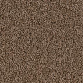 Carnegie - Mocha Swatch