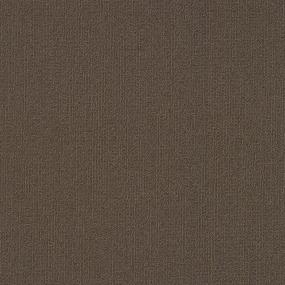 Color Array Tl II 18x36 - Lodge Swatch
