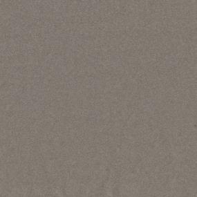 Whisper Willow - Smoky Steel Swatch