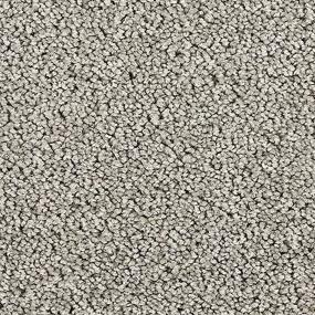 Whisper Willow - Smoky Steel Swatch