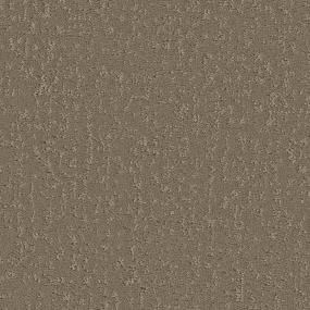 Worn Path Zoomed Swatch