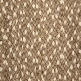Maximus - Coconut Swatch