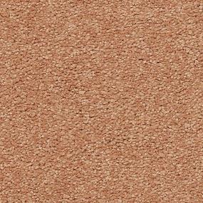 Somerset Bay - Nutmeg Frost Swatch
