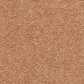 Nutmeg Frost Zoomed Swatch