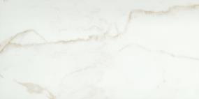 Visconde Polished 12X24