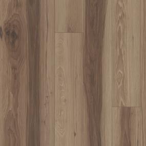 Antiquity - Kosmos Swatch