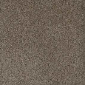 Shellbark Swatch Thumbnail
