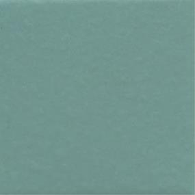 Unglazed Mosaics Straight Joint 2X2 Dm 12X24 Mt Grp3 - Fresh Matte Swatch