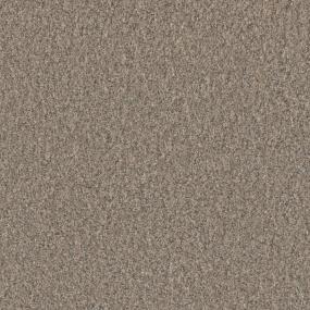 Timberline II - Cozy Path Swatch
