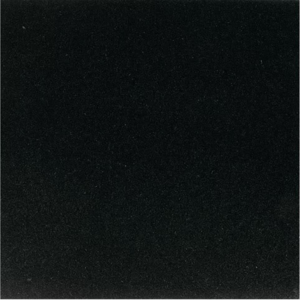 Granite Rectangle 12X24 Pl by Daltile - Absolute Black Polished