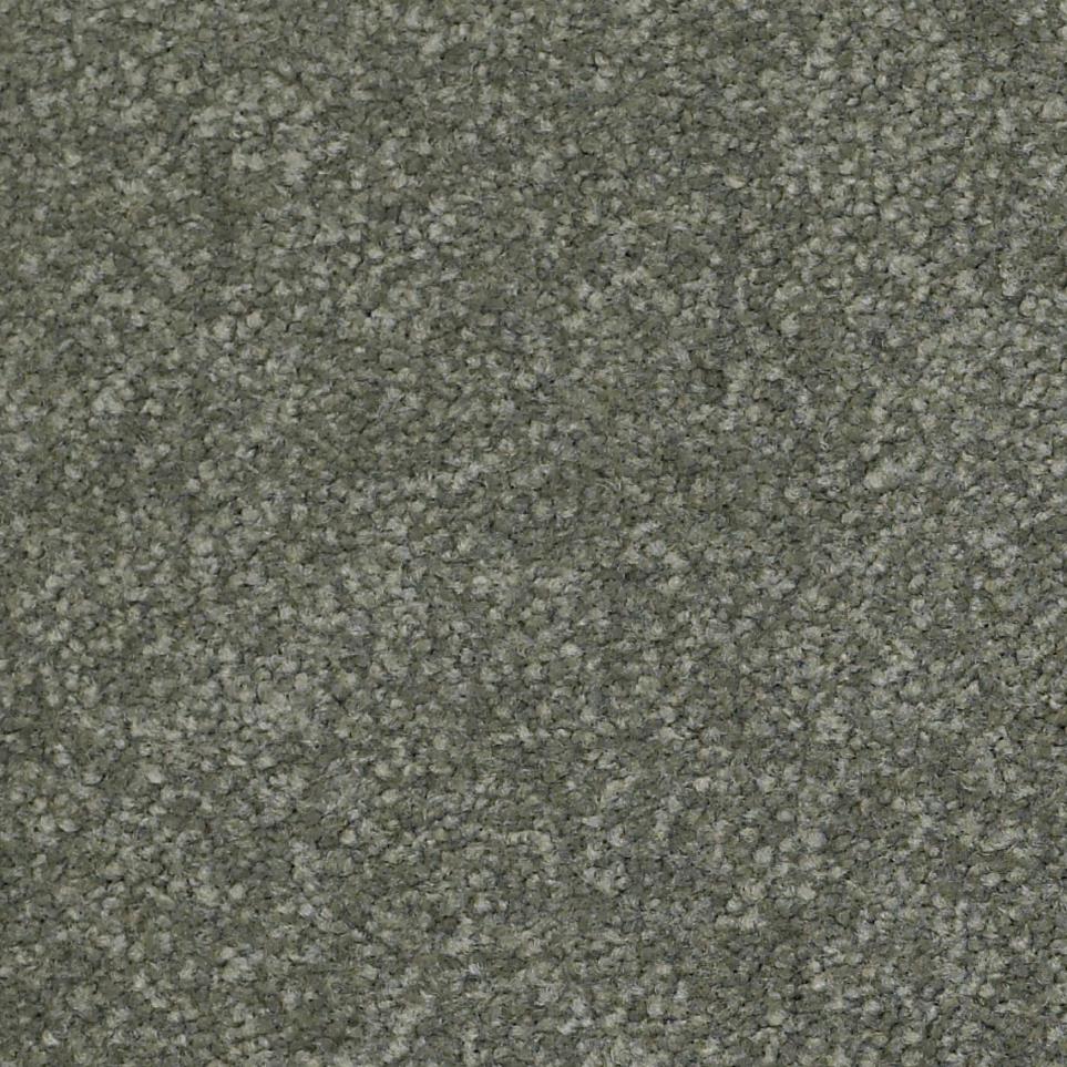 Morning Glory Zoomed Swatch