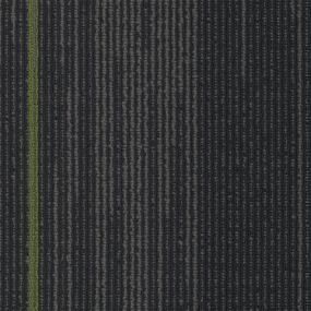 Reverb Plank - Parrot Swatch