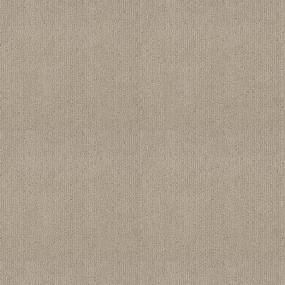 Well Spoken - Baja Swatch