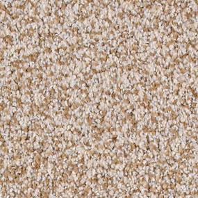 Calm Retreat - Sandstone Swatch