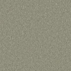 Sage Zoomed Swatch