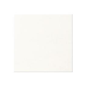 Thassos White Polished Swatch