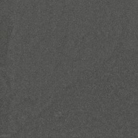 Looking Back Swatch Thumbnail