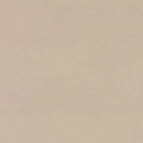 Beige Matte Zoomed Swatch
