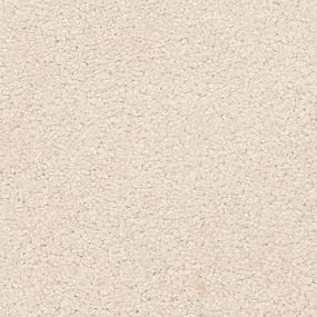 Somerset Bay - Gilded Swatch