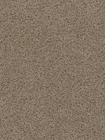 Sweepstakes - Doeskin Swatch