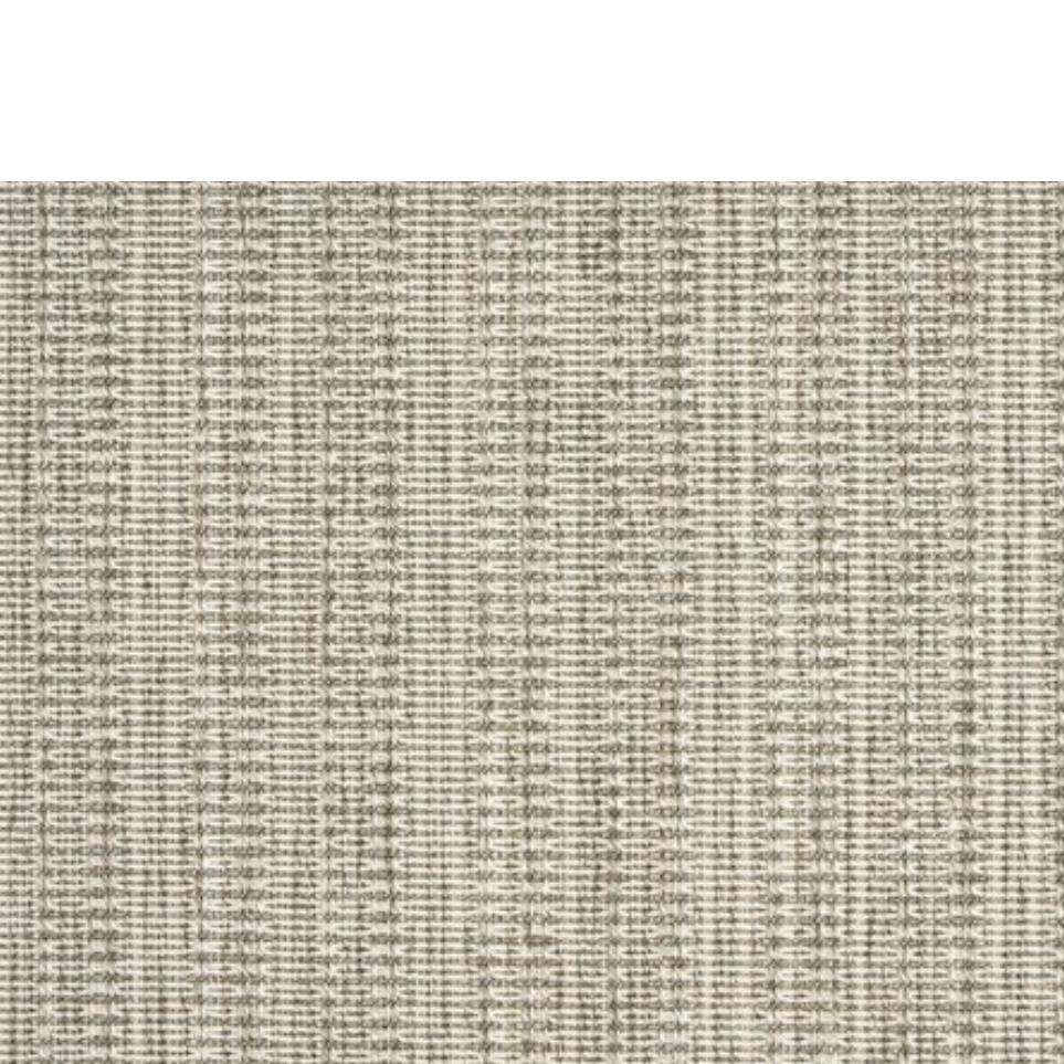 Platinum Zoomed Swatch