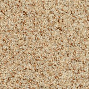 Oatmeal Raisin Swatch Thumbnail