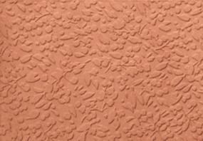 Coral Swatch Thumbnail