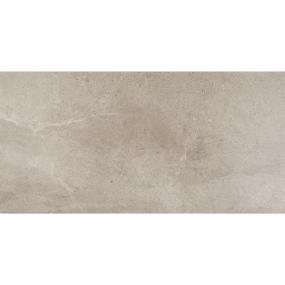 Advantage Rectangle 12X24 Mt - Renoir Grey Matte Swatch