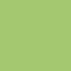 Key Lime Matte Zoomed Swatch