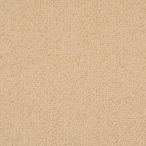 Waimea - Adventure Swatch
