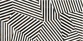 Zambia Deco 47X109 Porcelain Glossy - Zebra Swatch