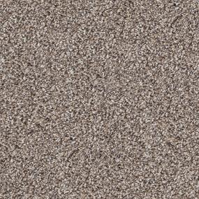 Akita - Puppy Swatch