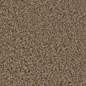 Balsam Swatch Thumbnail