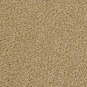 Savant - Gamm Swatch