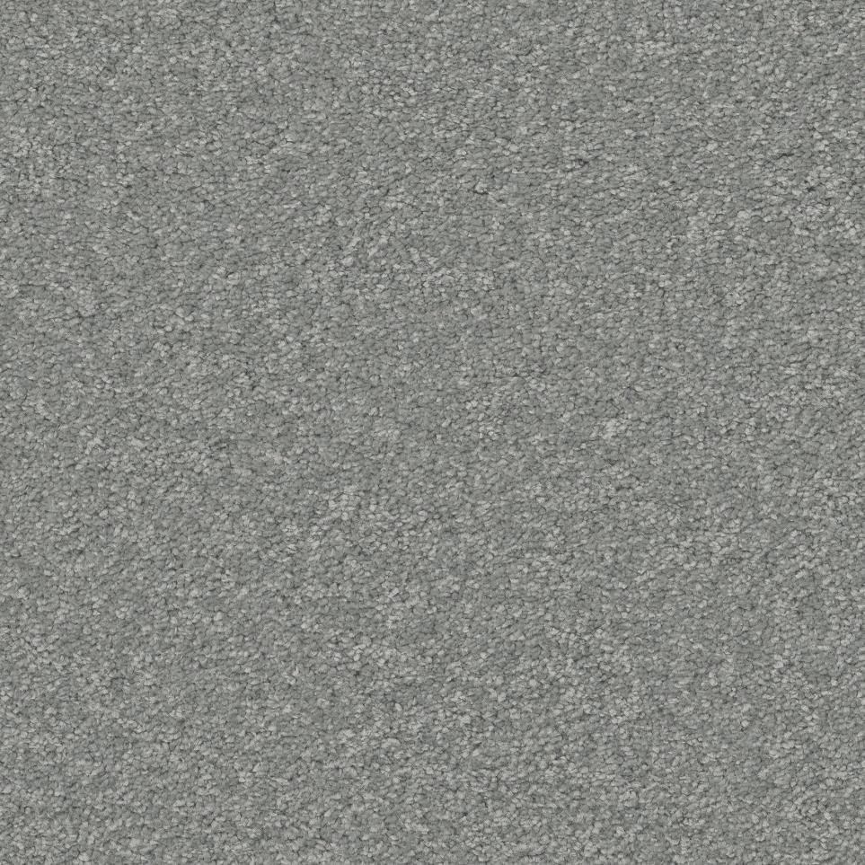 Dolphin Fin Zoomed Swatch