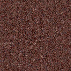Salutary - Fit Swatch