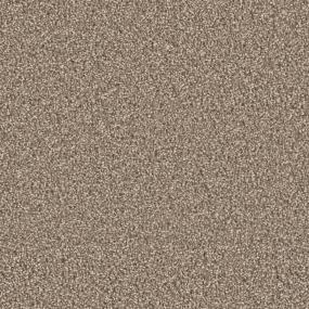 Dove Zoomed Swatch