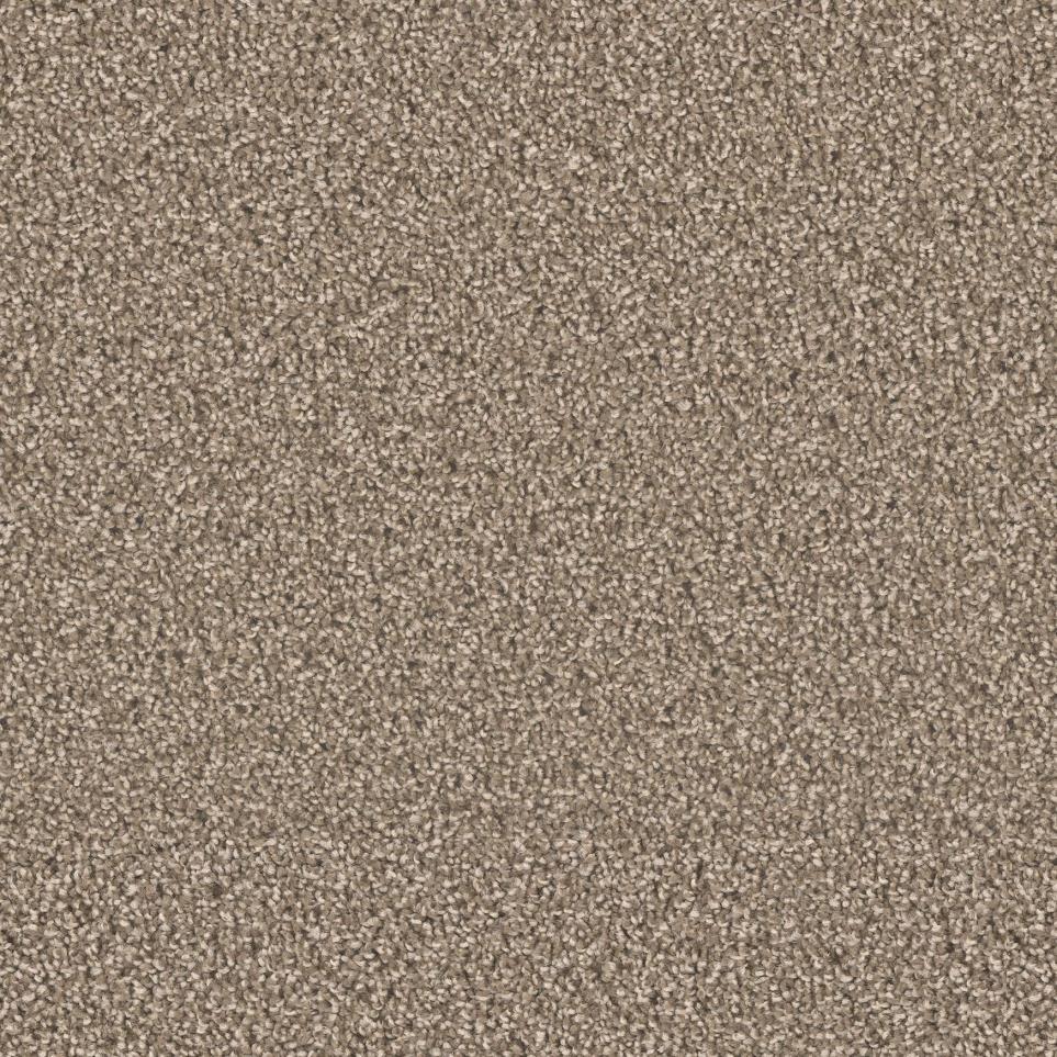 Dove Zoomed Swatch