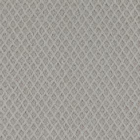 Regional Perspective - Palisade Swatch