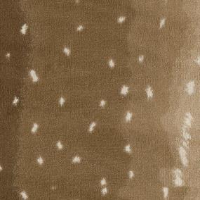 Exotic Escape - Chital Dfb - Brown Swatch